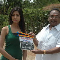 Rudrakshapalli Movie Opening | Picture 44053